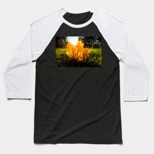 Autumn color maple leaf on grass Baseball T-Shirt